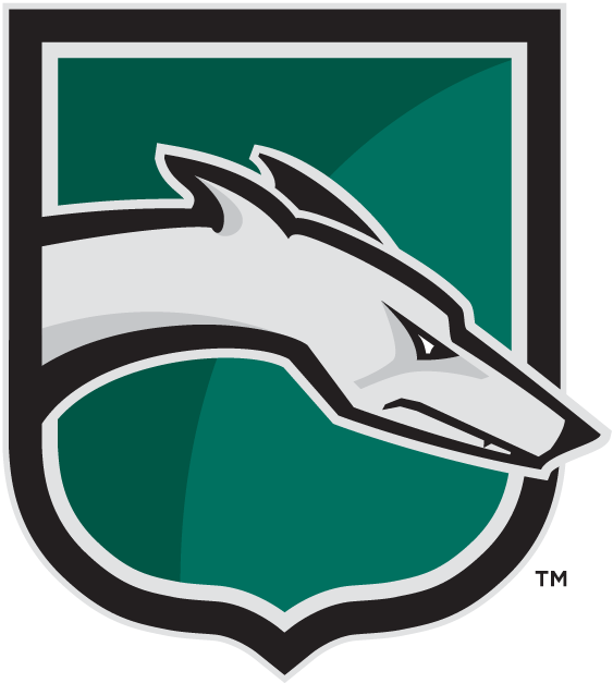 Loyola-Maryland Greyhounds 2002-Pres Alternate Logo iron on transfers for clothing